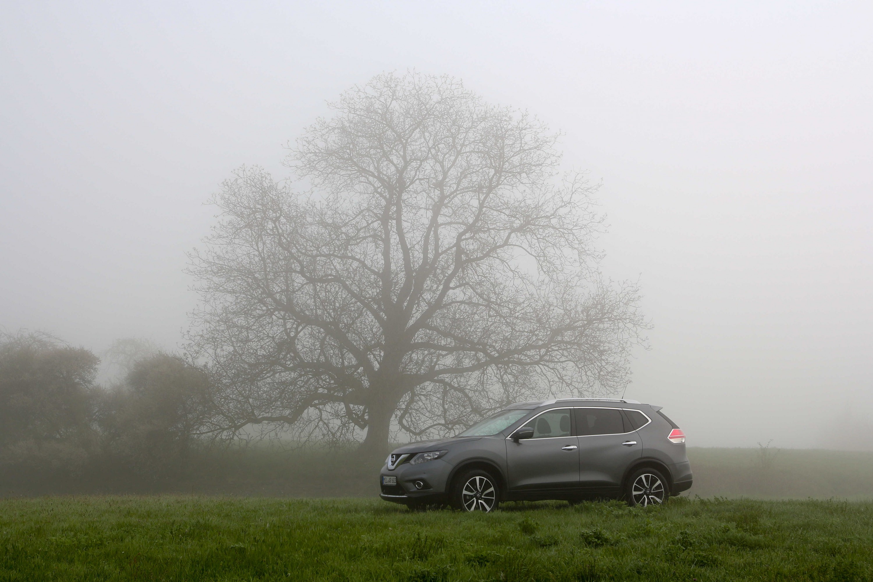 Ausflug im Nebel